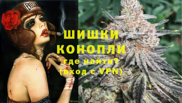 ПСИЛОЦИБИНОВЫЕ ГРИБЫ Алзамай
