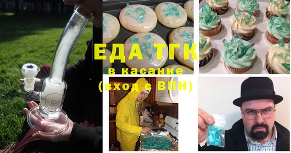 хмурый Алексин