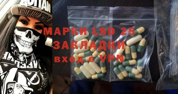 ПСИЛОЦИБИНОВЫЕ ГРИБЫ Алзамай