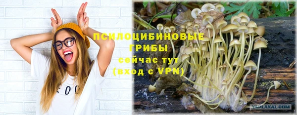 хмурый Алексин