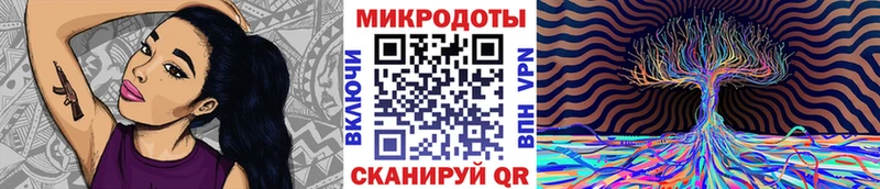 дарнет шоп Венёв Галлюциногенные грибы Psilocybe