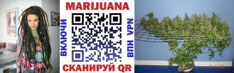 Канабис AK-47  Венёв 